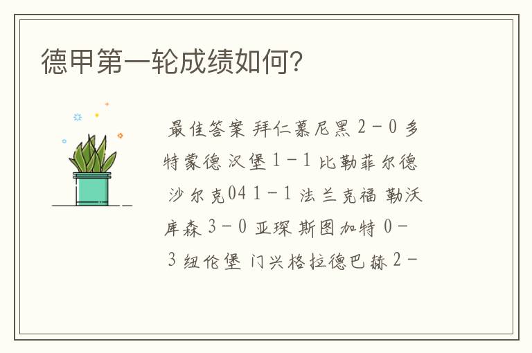 德甲第一轮成绩如何?