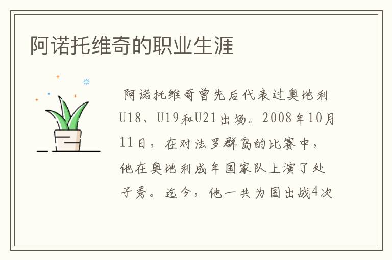 阿诺托维奇的职业生涯