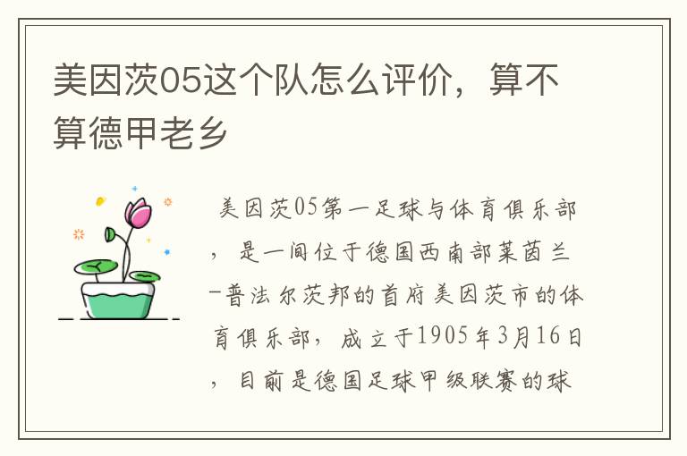 美因茨05这个队怎么评价,算不算德甲老乡