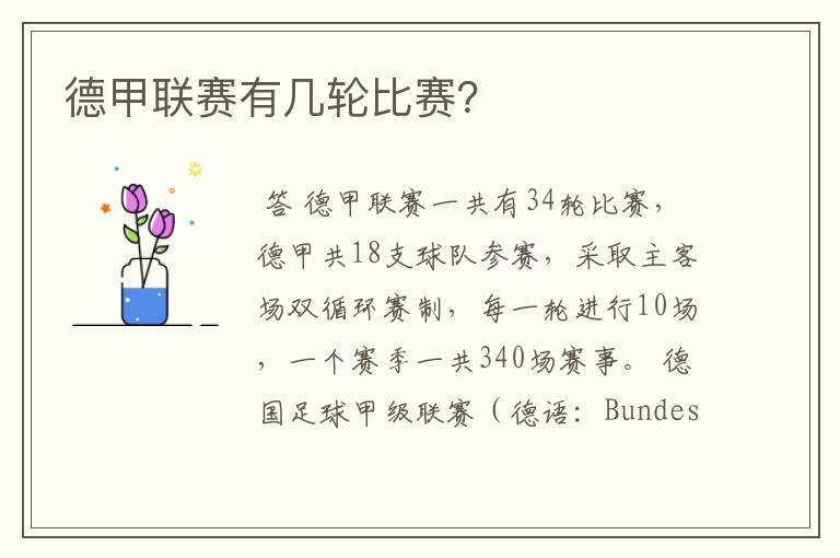 德甲联赛有几轮比赛?