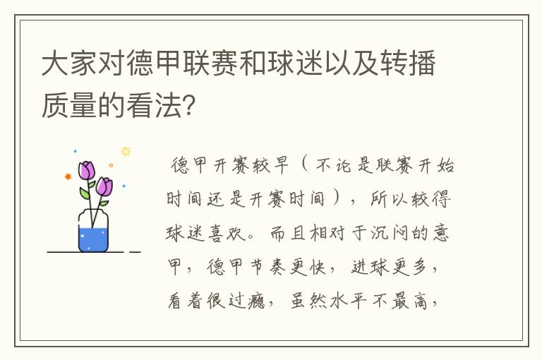 大家对德甲联赛和球迷以及转播质量的看法?