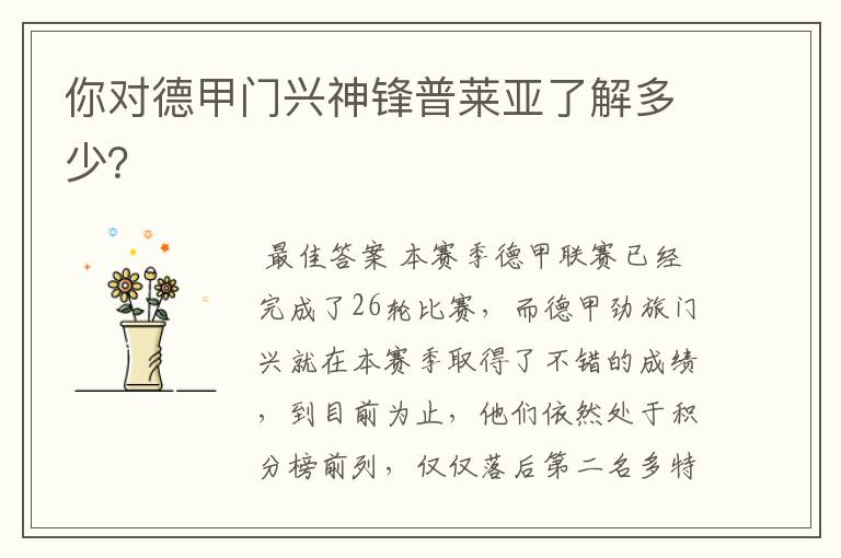 你对德甲门兴神锋普莱亚了解多少?