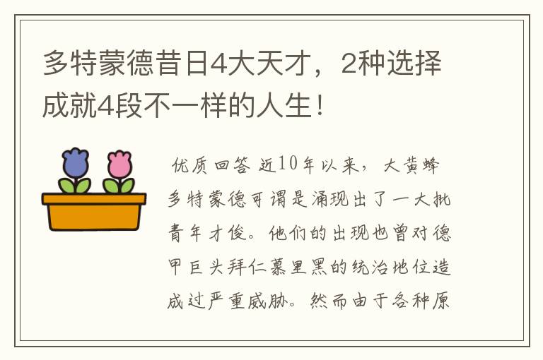 多特蒙德昔日4大天才,2种选择成就4段不一样的人生!