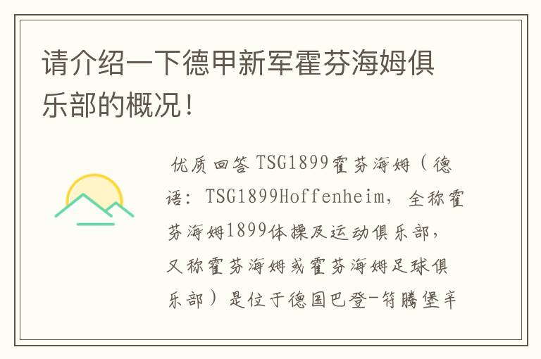 请介绍一下德甲新军霍芬海姆俱乐部的概况!