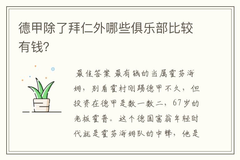 德甲除了拜仁外哪些俱乐部比较有钱?
