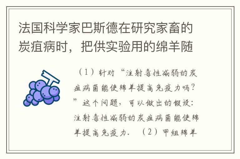 法国科学家巴斯德在研究家畜的炭疽病时,把供实验用的绵羊随机分为甲乙两组,进行了如下实验(如图).请