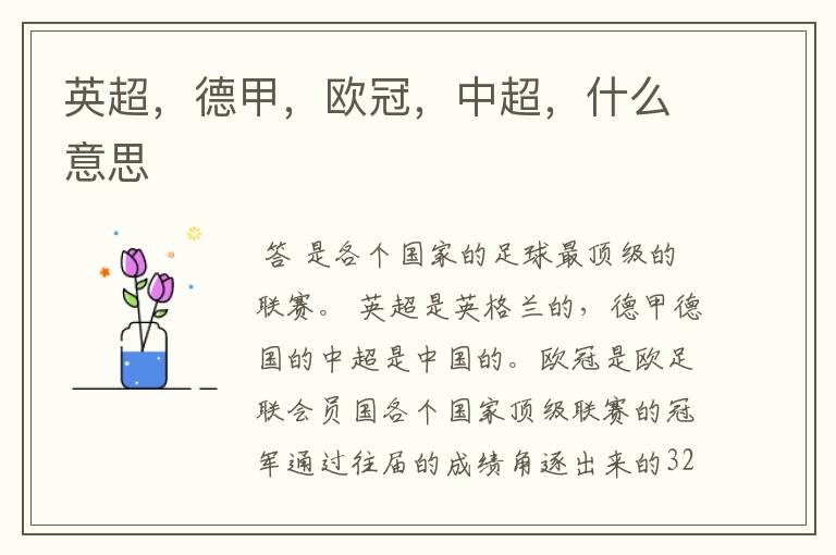 英超,德甲,欧冠,中超,什么意思