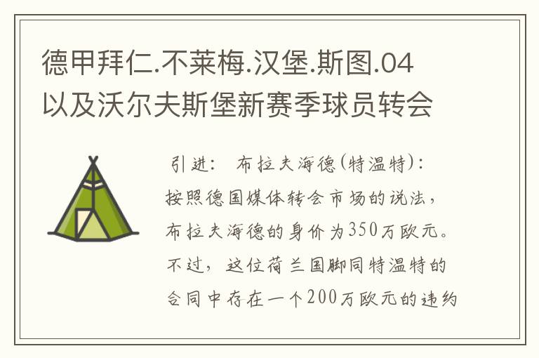 德甲拜仁.不莱梅.汉堡.斯图.04以及沃尔夫斯堡新赛季球员转会一览