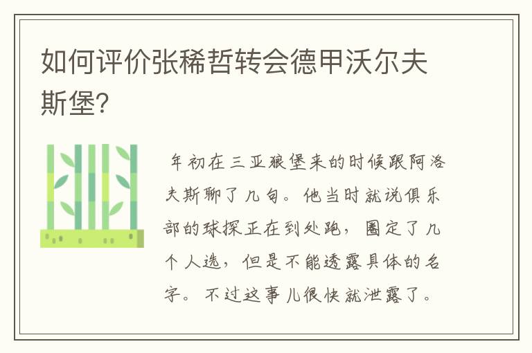 如何评价张稀哲转会德甲沃尔夫斯堡?