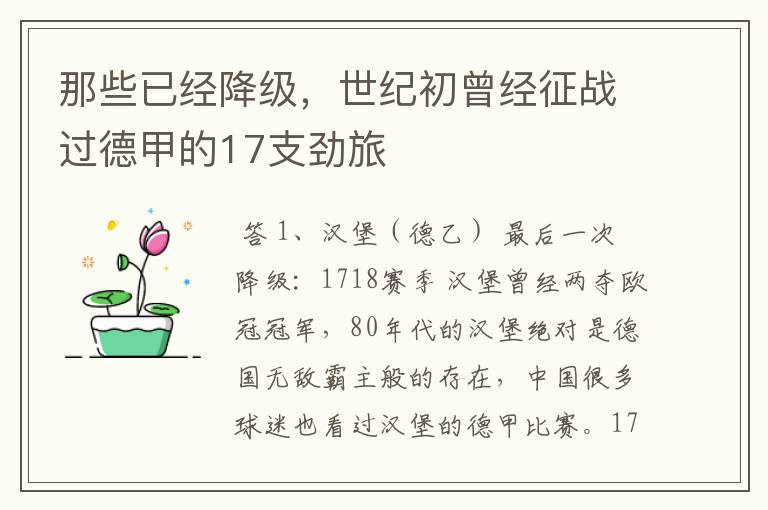 那些已经降级,世纪初曾经征战过德甲的17支劲旅