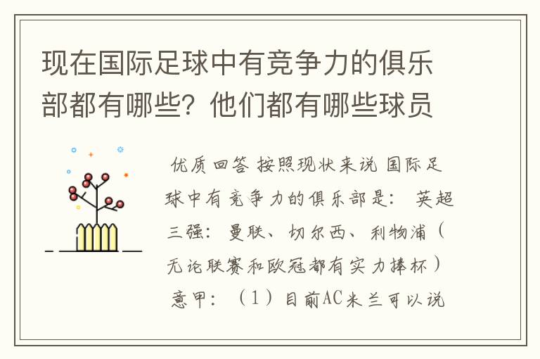 现在国际足球中有竞争力的俱乐部都有哪些?他们都有哪些球员?现在做好的前锋,中场,后卫和守门员是谁?