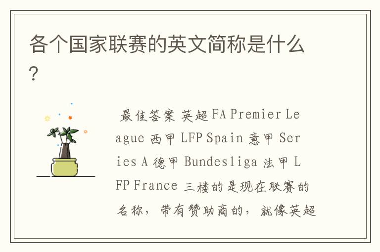 各个国家联赛的英文简称是什么?