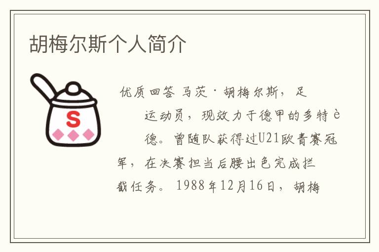 胡梅尔斯个人简介