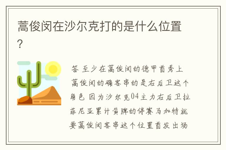 蒿俊闵在沙尔克打的是什么位置?