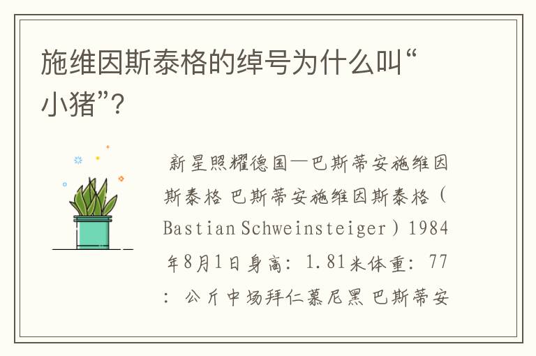 施维因斯泰格的绰号为什么叫“小猪”?
