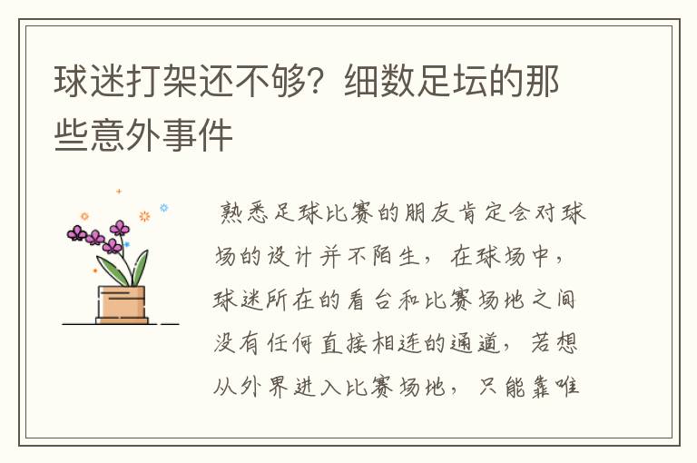 球迷打架还不够?细数足坛的那些意外事件