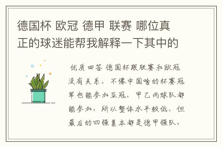 德国杯 欧冠 德甲 联赛 哪位真正的球迷能帮我解释一下其中的关系吗?