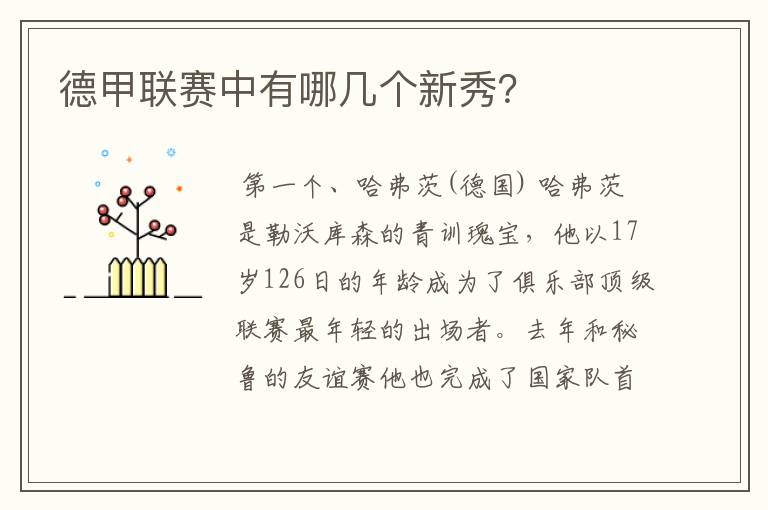 德甲联赛中有哪几个新秀?