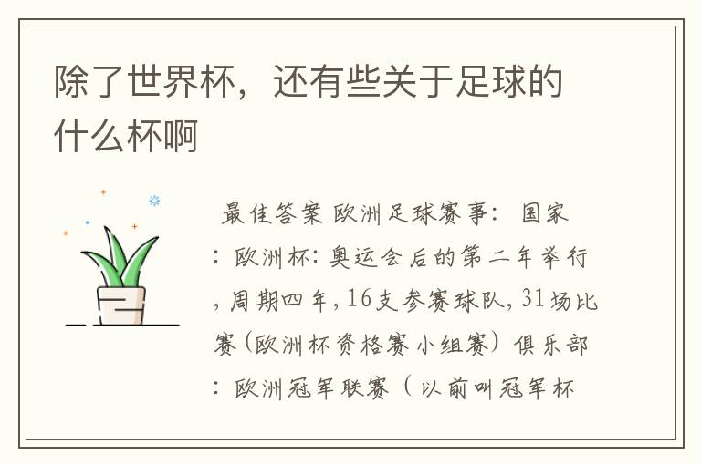除了世界杯,还有些关于足球的什么杯啊