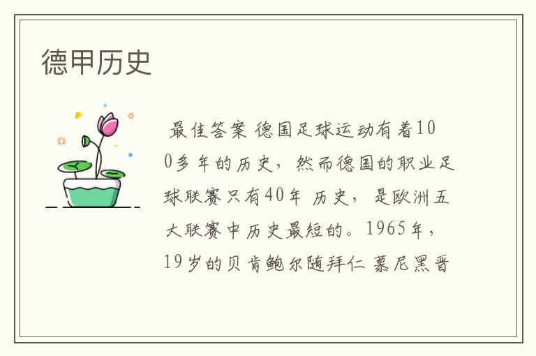 德甲历史