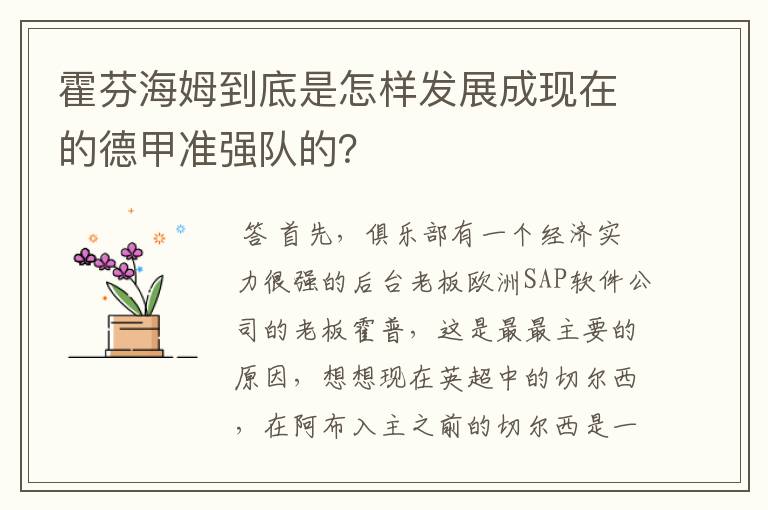 霍芬海姆到底是怎样发展成现在的德甲准强队的?