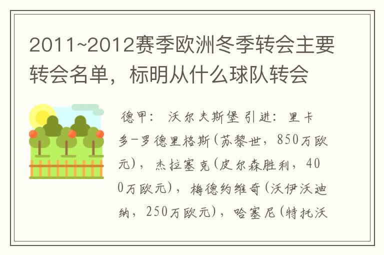 2011~2012赛季欧洲冬季转会主要转会名单,标明从什么球队转会到什么球队,多谢~