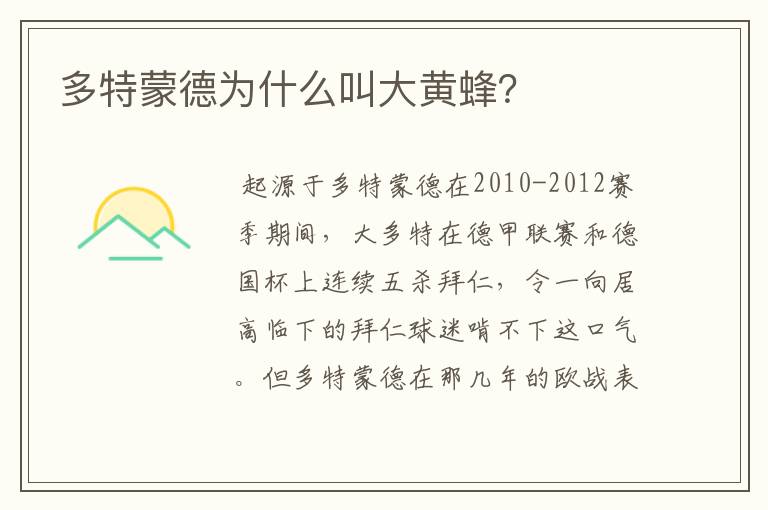 多特蒙德为什么叫大黄蜂?