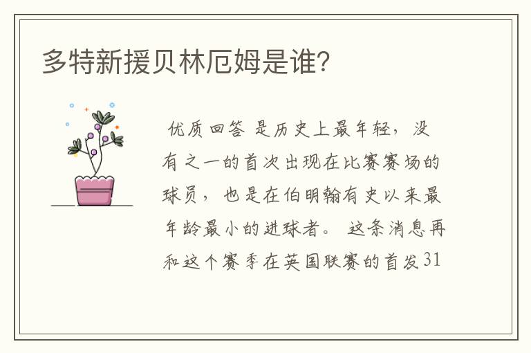 多特新援贝林厄姆是谁?