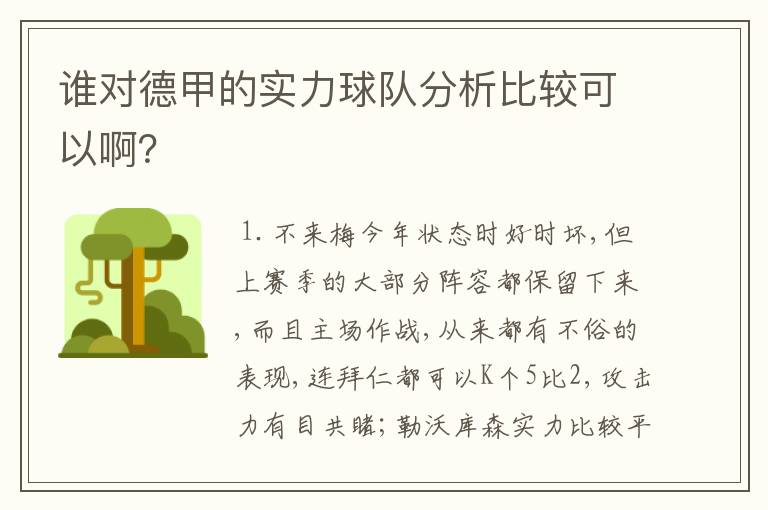谁对德甲的实力球队分析比较可以啊?