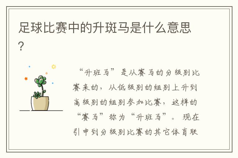 足球比赛中的升斑马是什么意思?