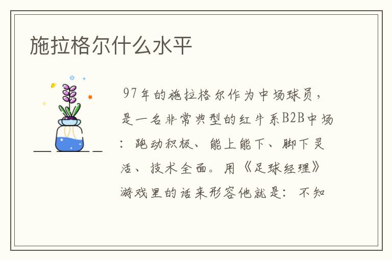 施拉格尔什么水平