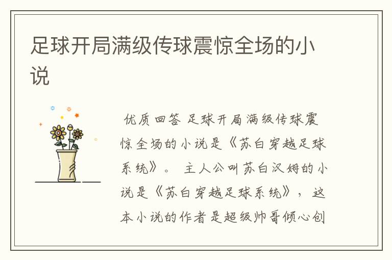 足球开局满级传球震惊全场的小说