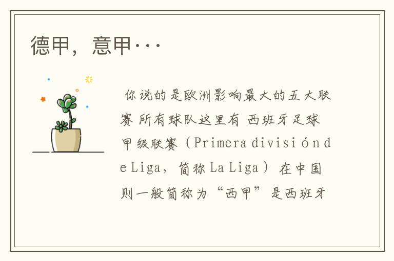德甲,意甲···