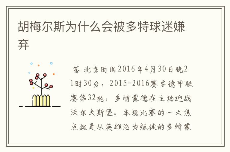 胡梅尔斯为什么会被多特球迷嫌弃