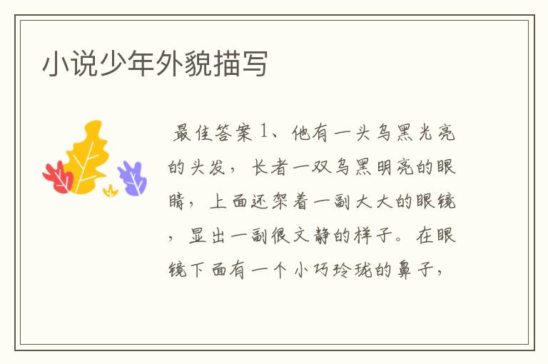 小说少年外貌描写