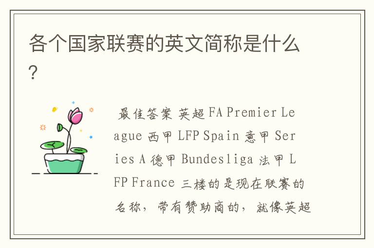 各个国家联赛的英文简称是什么?