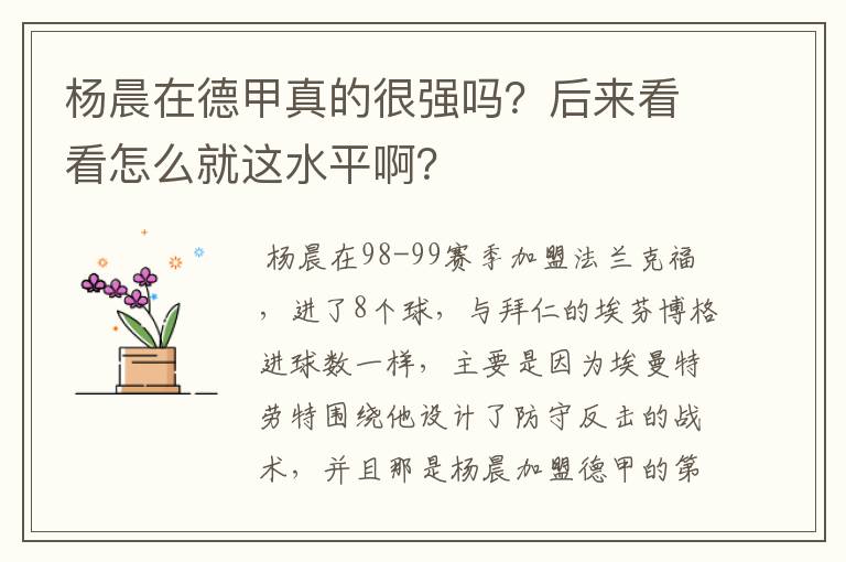 杨晨在德甲真的很强吗?后来看看怎么就这水平啊?