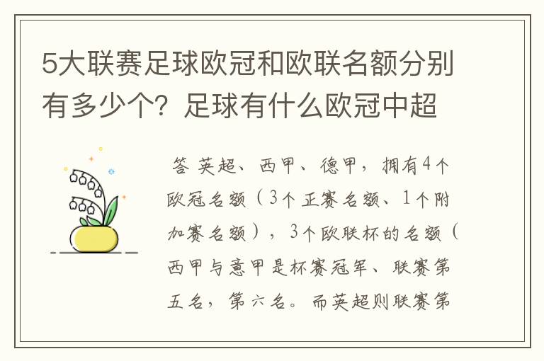 5大联赛足球欧冠和欧联名额分别有多少个?足球有什么欧冠中超还