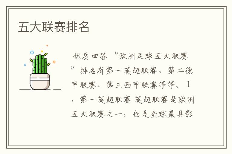 五大联赛排名