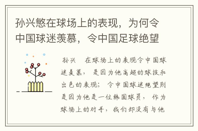 孙兴慜在球场上的表现,为何令中国球迷羡慕,令中国足球绝望?