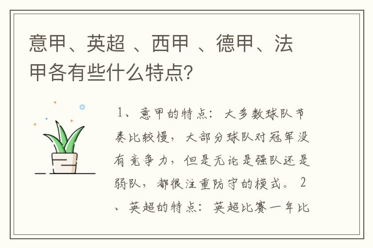 意甲、英超 、西甲 、德甲、法甲各有些什么特点?