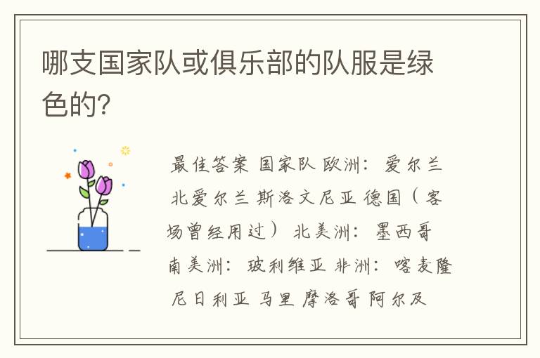 哪支国家队或俱乐部的队服是绿色的?