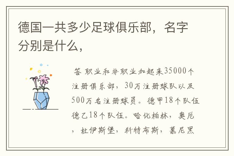 德国一共多少足球俱乐部,名字分别是什么,