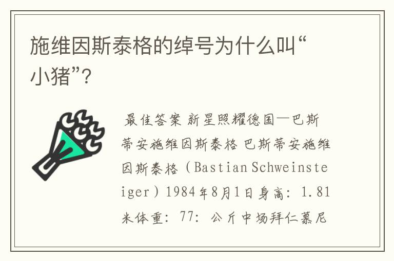 施维因斯泰格的绰号为什么叫“小猪”?
