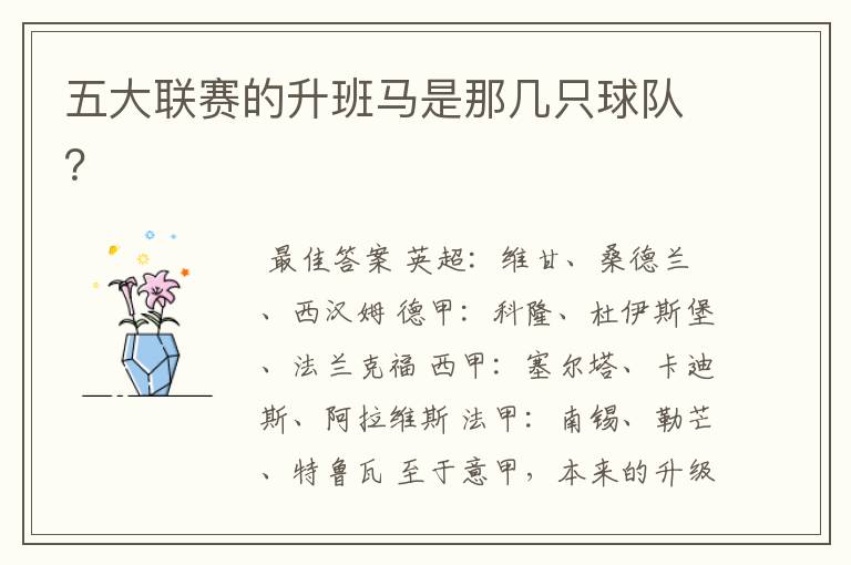 五大联赛的升班马是那几只球队?