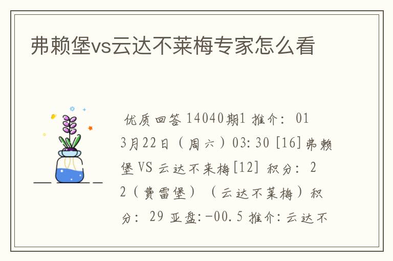 弗赖堡vs云达不莱梅专家怎么看