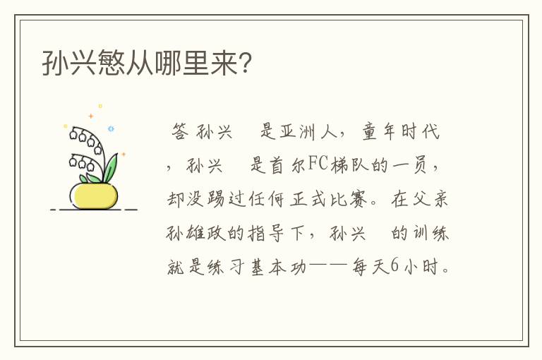 孙兴慜从哪里来?