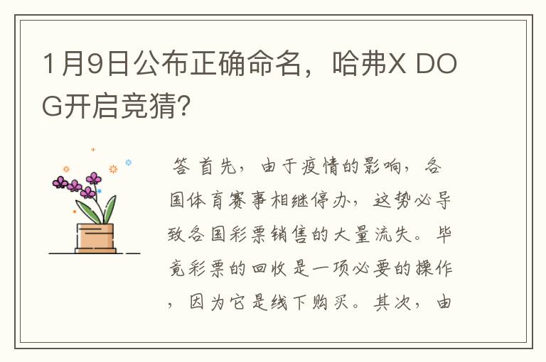 1月9日公布正确命名,哈弗X DOG开启竞猜?