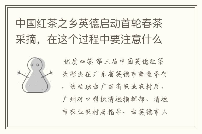 中国红茶之乡英德启动首轮春茶采摘,在这个过程中要注意什么?
