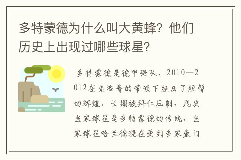 多特蒙德为什么叫大黄蜂?他们历史上出现过哪些球星?